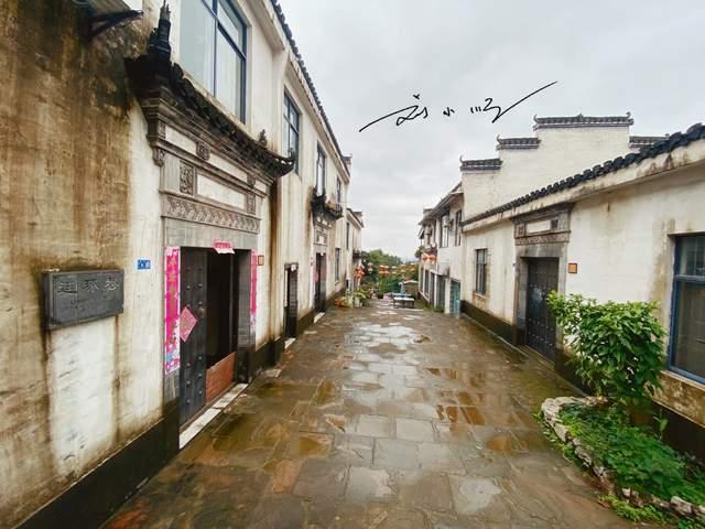 卡通骆驼救援